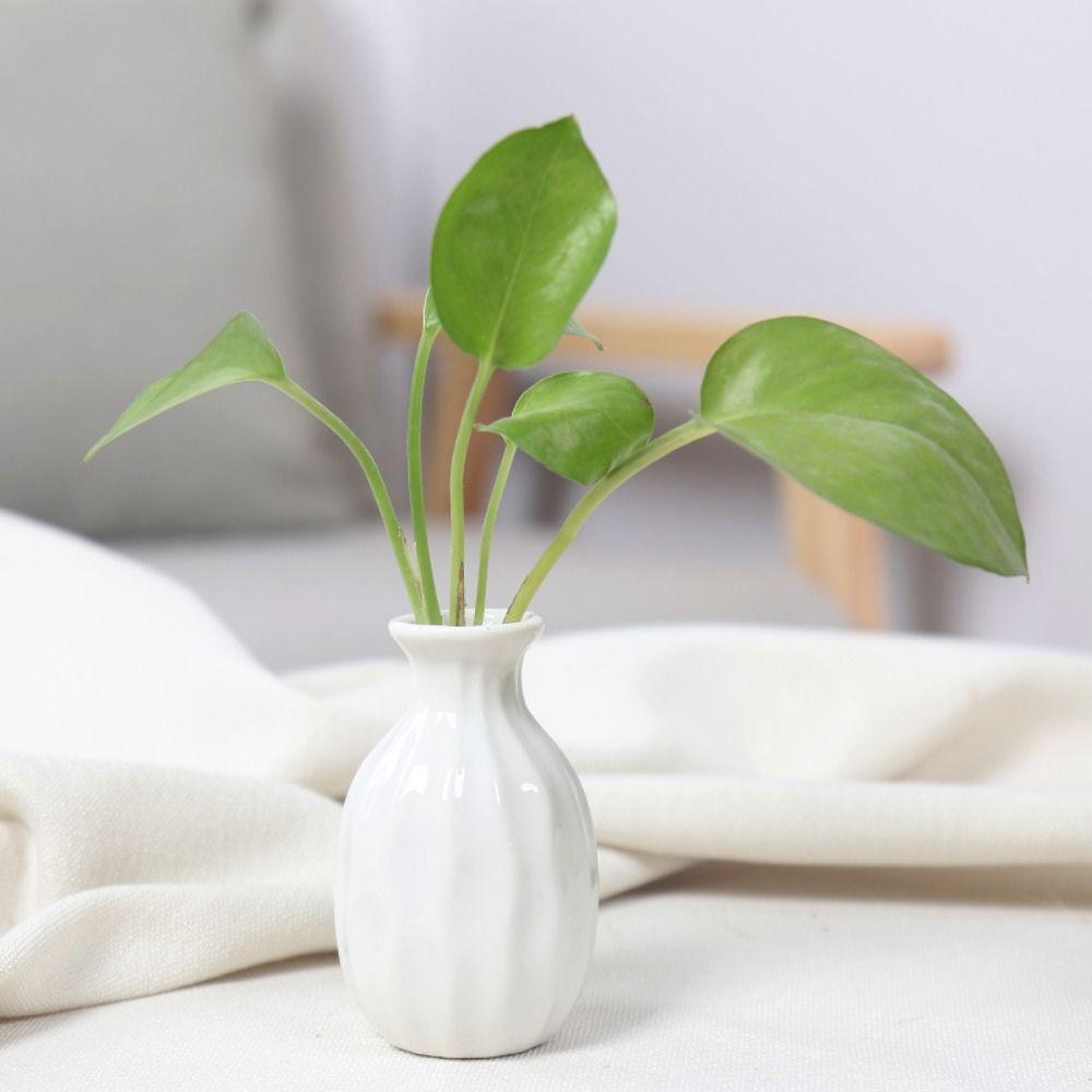 

Simple Style Desktop Hydroponic Vase Cute Garden Plant Flowerpot Ceramic Samll Vase Living Room Green-style 3
