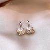 Exquisite Silver Color Oval Zircon Crystal Earrings for Women Girls Unique Jewelry Luxury Sensation Minimalist Ear Accessories