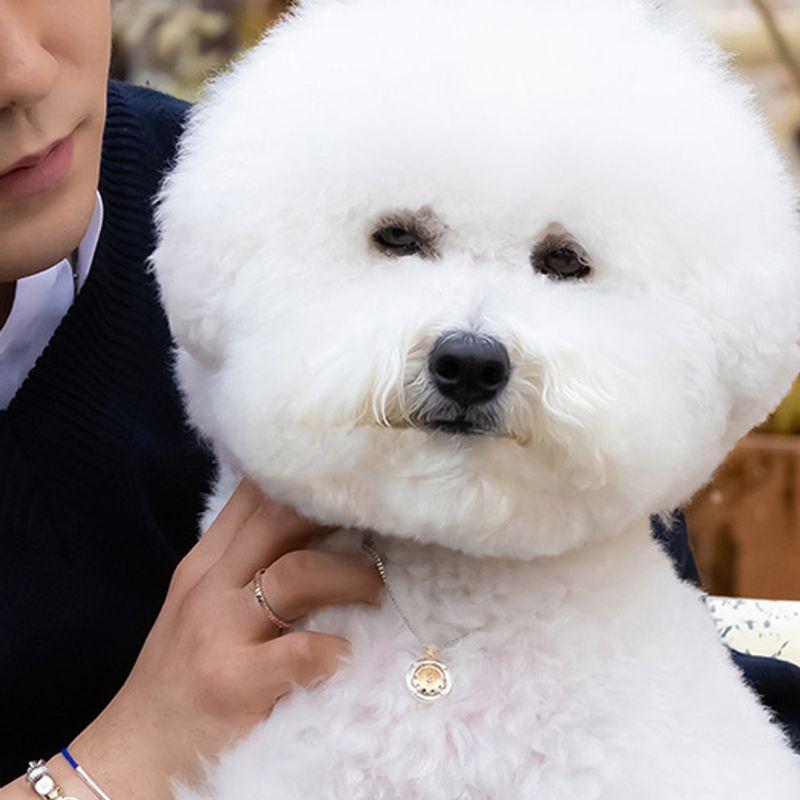 BE/GINS Argent925 VIS À TEMPS ROUE DENTÉE PIÈCE COLLIER POUR ANIMAL DE COMPAGNIE