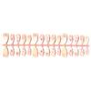 30 pieces of new spring and summer armor three-dimensional flowers handmade fake nails small and fresh cross-border hot-selling armor wholesale