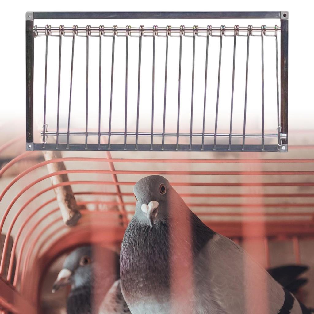 Puerta de entrada para jaula de pájaros para palomas y espacio para anidar