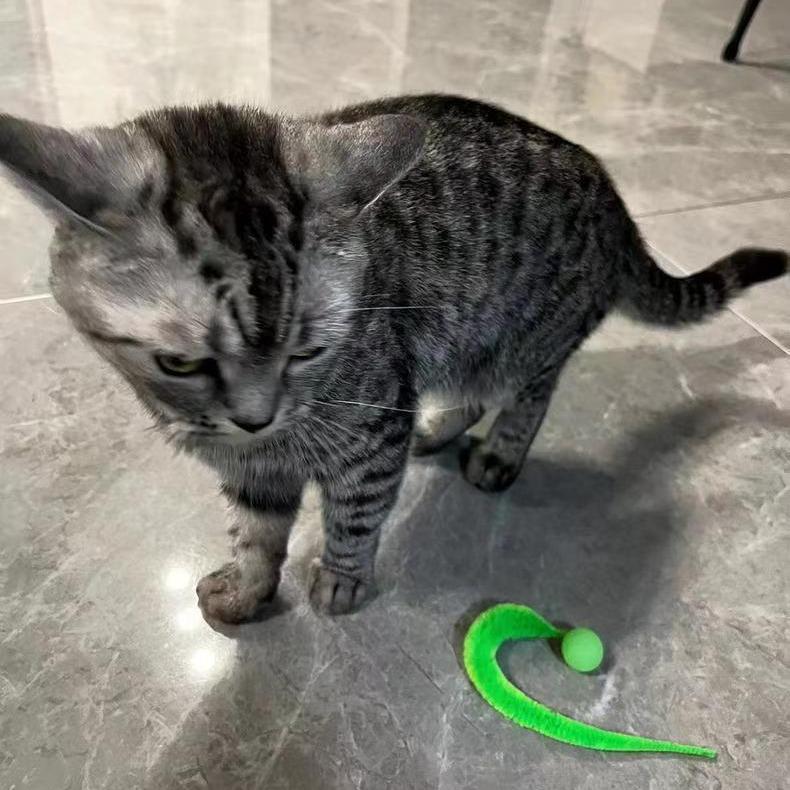 Kouzelná housenka elastický míček: Duhový červ Skákací hračka pro kočky