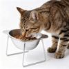 Fall-Resistant Stainless Steel Cat Bowl Cervical Protection with Stand Elevated Cat Food Bowl Anti overturning 15°Tilted Angle