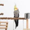 Pepper wood parrot platform parrot climbing net climbing training station climbing ladder swing bird toy suspension bridge