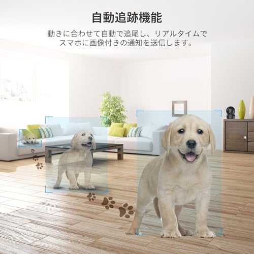 [Amazon.co.jp Exclusive] EZVIZ Pet Camera, Indoor Monitoring Camera, 1080p, 360° Pan/Tilt (Horizontal 340°/Vertical 55°), AI Auto Tracking, Night Visi