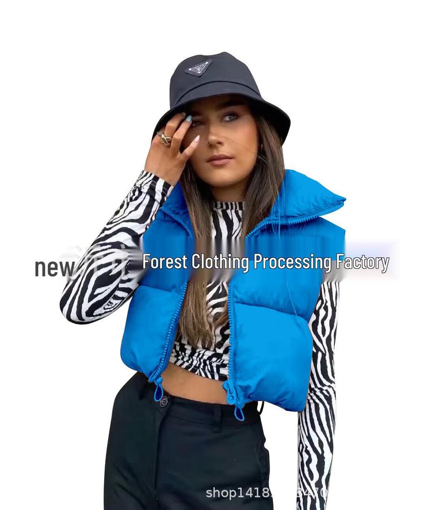 Women's Stand-Up Collar Zipper Vest: Warm Sleeveless Cotton Jacket for Autumn/Winter - Multi-Color Available