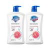 Safeguard Health Clean Protect Grapefruit Shower Gel Twin Pack