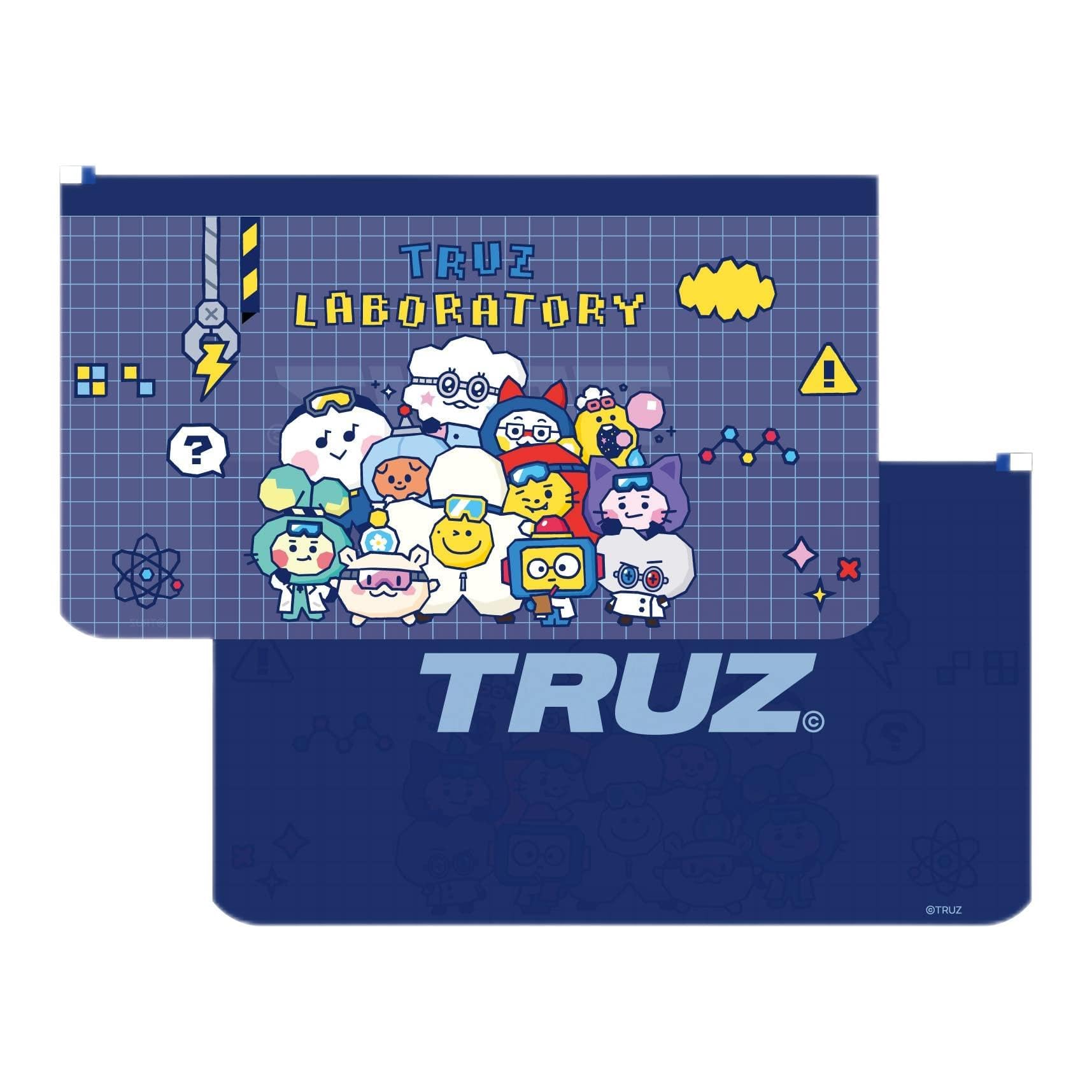 

Ensky TRUZ Mask Case Laboratory Antibacterial Made of LDPE PET L,