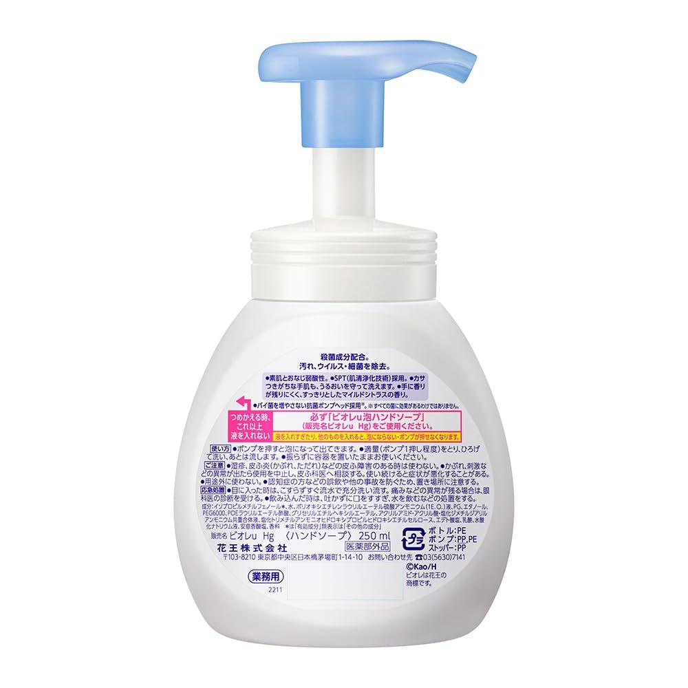 Kao Biore u Foaming Hand Professional Pump 250ml Soap, Size, Bottle,