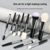 Mini 10-Piece Makeup Brush Set for Beginners: Portable Travel Set with Powder and Contour Brushes