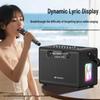 SANSUI SK360 Portable Bluetooth Karaoke Speaker (CN Version)