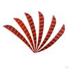 12 Pcs Shield Cut Turkey Feather Fletch Fletching Shape