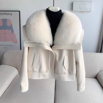 Winter Imitation Fox Fur Collar Fur Jacket Suede Down Cotton Liner Short Locomotive Young PU Leather Jacket