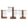 Plant Terrarium with Wooden Stand Hydroponic Planter Bulb Glass Bonsai Flower Pot for Indoor Office Desk Decor Accessories