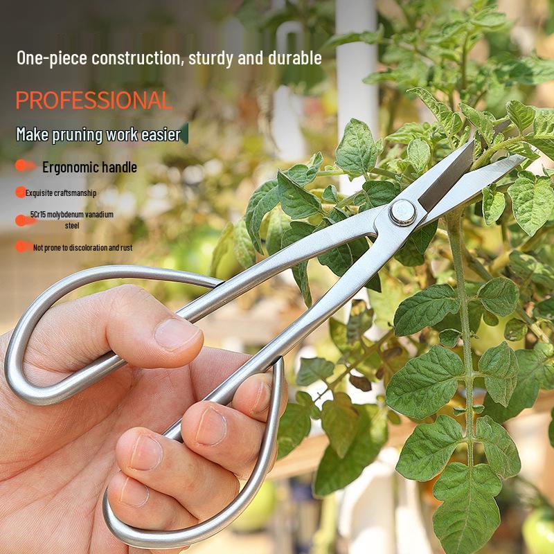 Tender Leaf All-Steel Pruning Shears: Floral, Bud, and Bonsai Scissors for Horticulture and Art