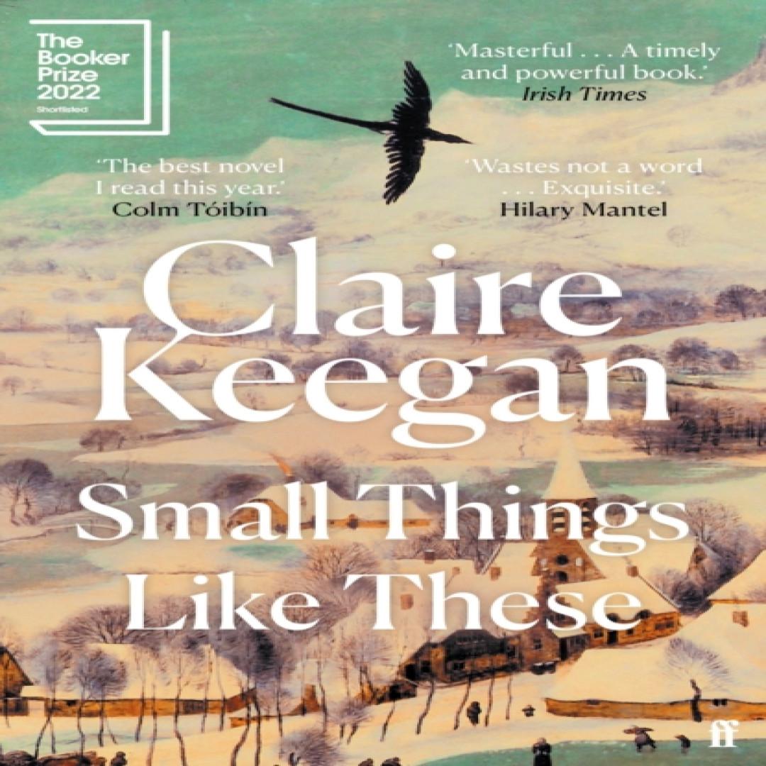 Kleine Dinge wie diese von Claire Keegan Taschenbuch 9780571368709