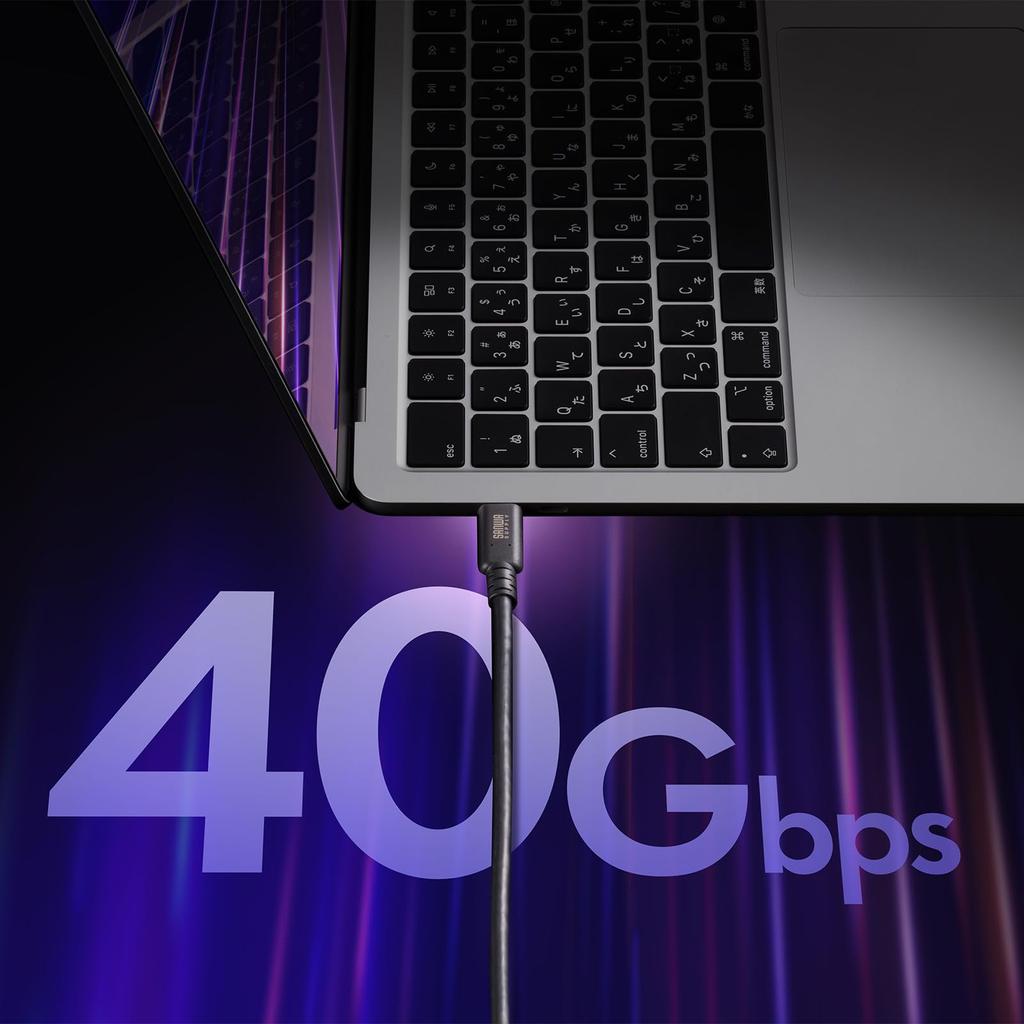 SANWA SUPPLY USB 40Gbps (USB 4 Gen 3) Type-C Cable KU-40GCCPE10
