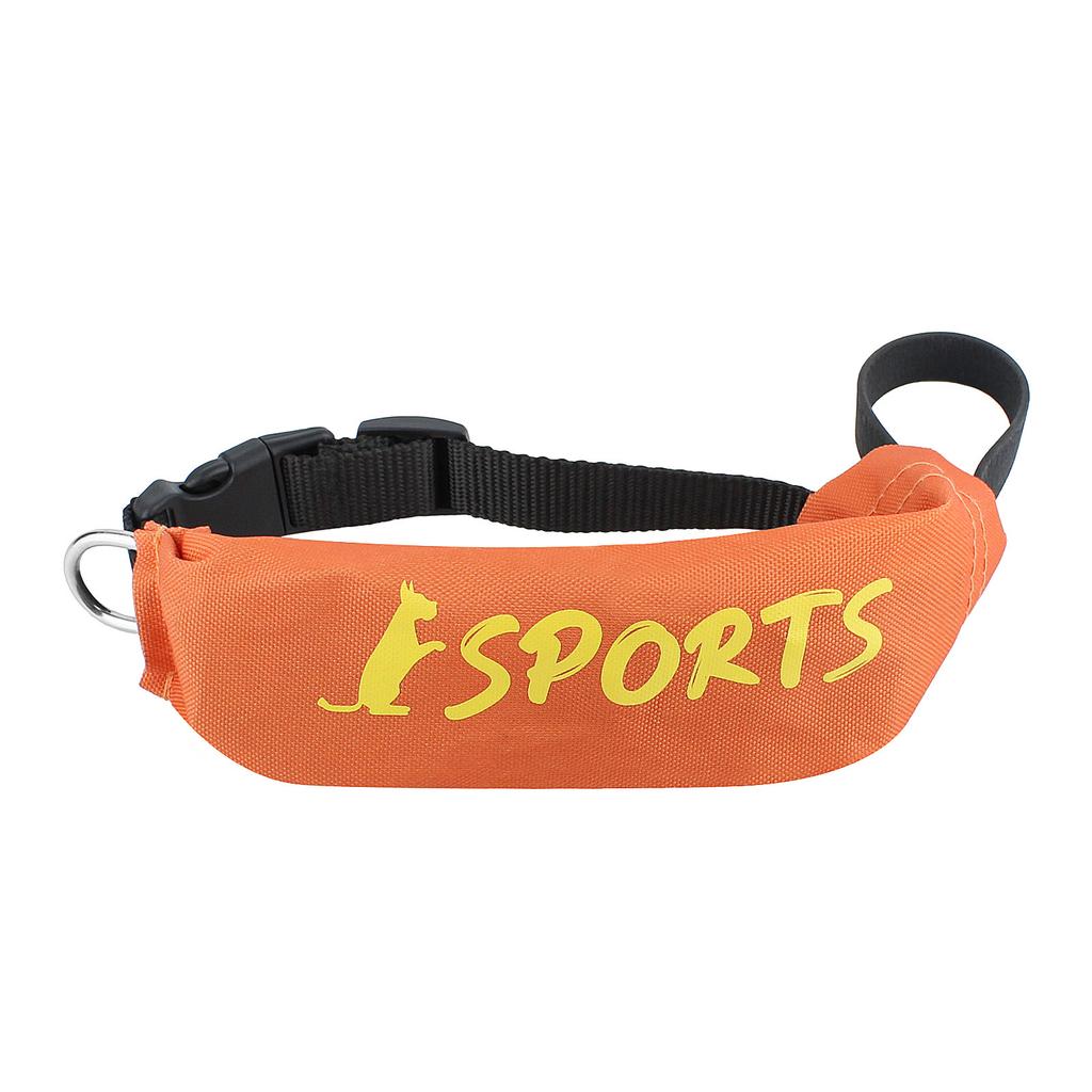 Pet Products Dog Automatic Retractable Leash 2 in 1 Retractable Dog Collar Leash