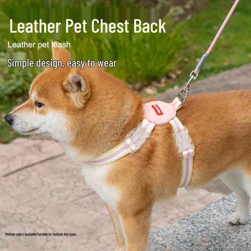 Yun Xiao Shi justerbar hundsele och koppelset