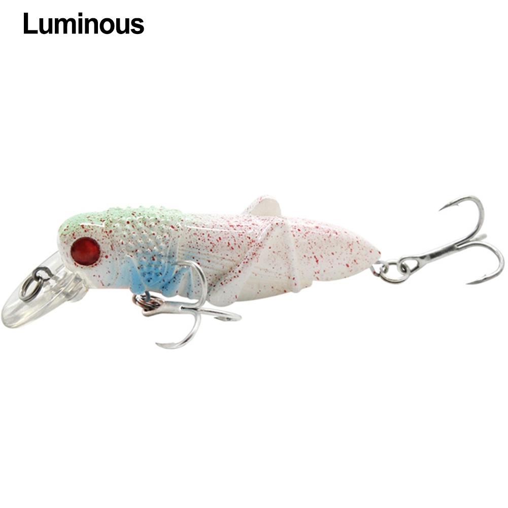 Innovative Design of 5cm Insect Fishing Lures To Attract Fish Easily