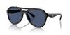 Sunglasses 0HC8406U BLACK 55 [Coach]