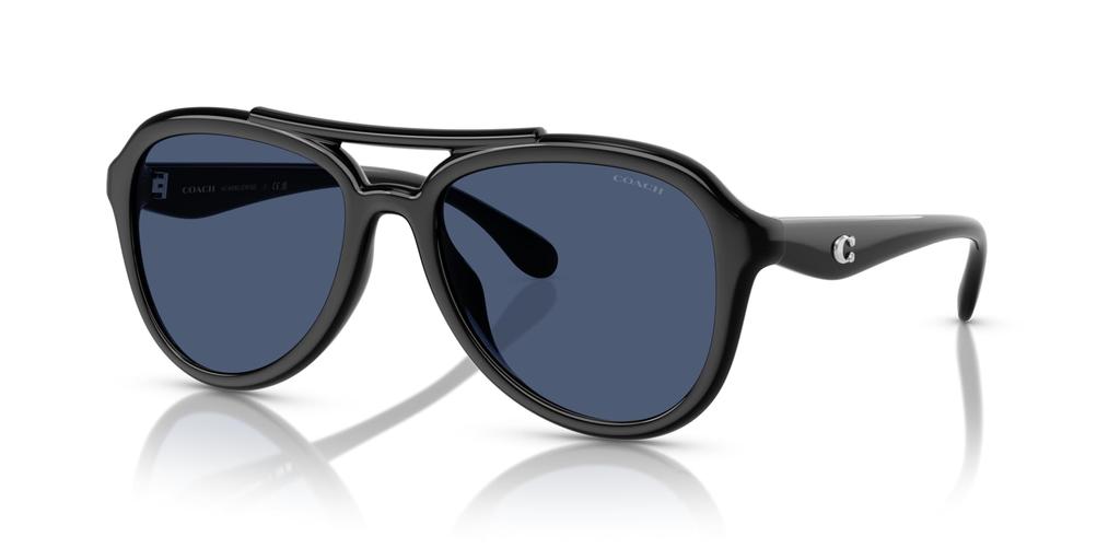 Sunglasses 0HC8406U BLACK 55 [Coach]