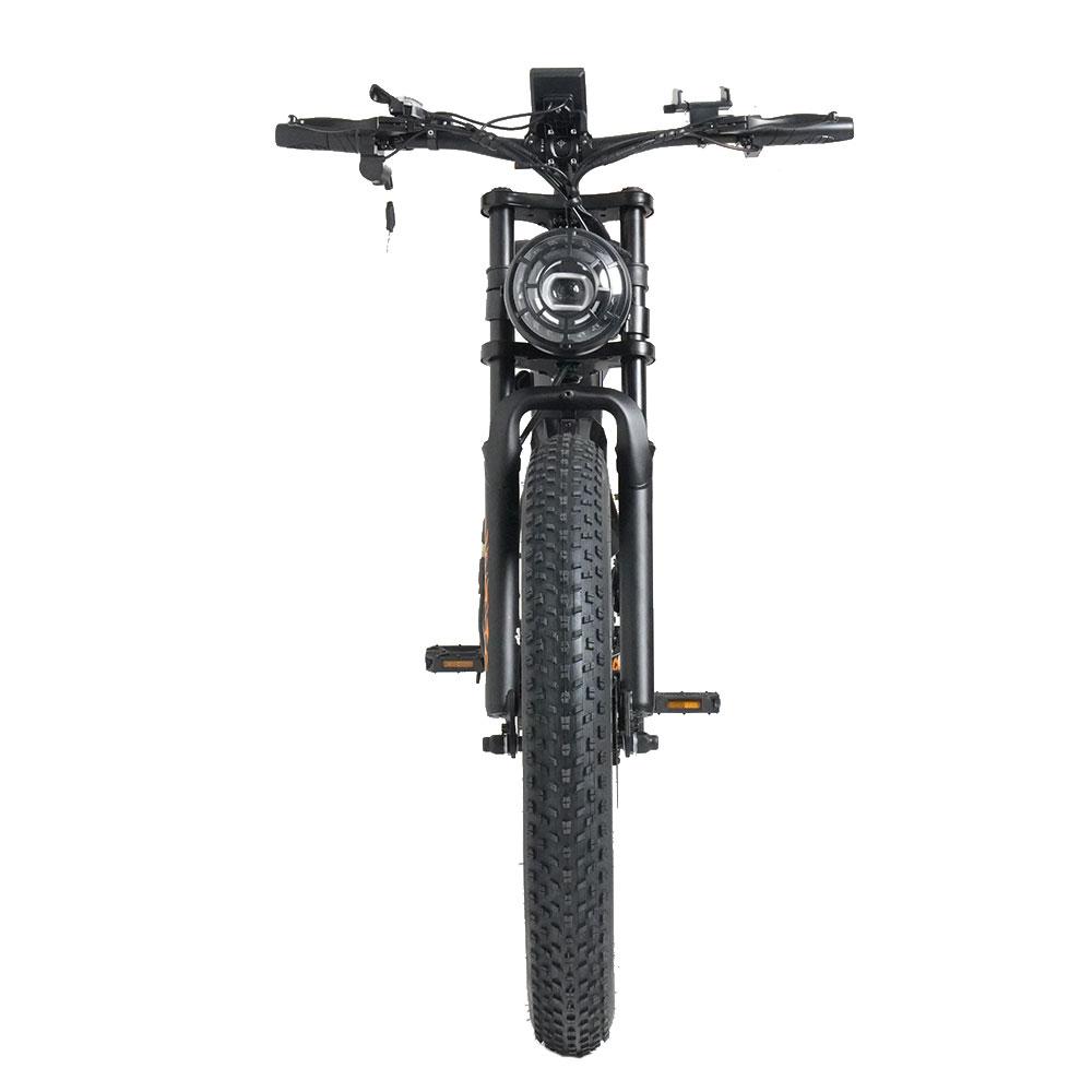 Bici Elettrica da Montagna RICH BIT C01, Batteria 48V 20AH, Sospensione Integrale, Shimano 7 Velocità