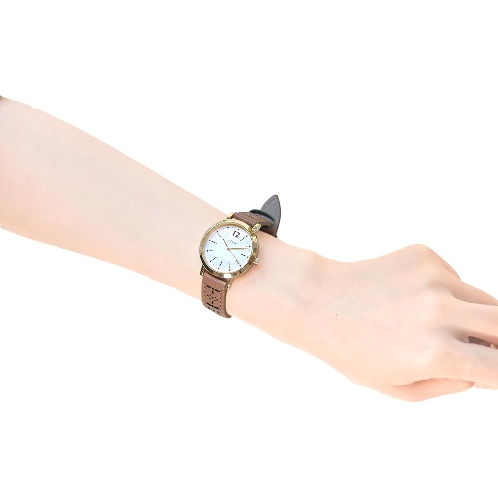 Fieldwork Women's Analog Watch Brown 14mm Breathable Design Casual Fashion Accessory