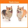 Реалістична фігурка собаки коргі, статична модель-іграшка з ПВХ для любителів тварин та колекціонерів