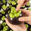 Flexible Mangosteen Ball Skin Soft TPR DIY Pressure Ball Kit DIY Empty Ball Skin  Children Gift