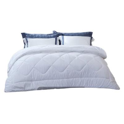 Fuanna Winter Warm Quilt
