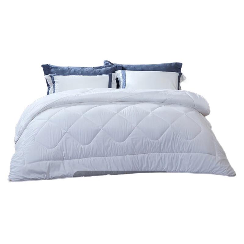 Fuanna Ultra-Warm Winter Quilt