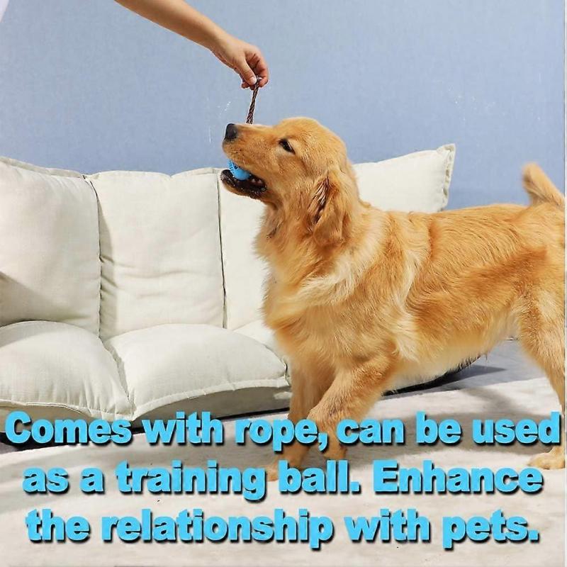 Puppy Teeth Cleaning Chew Ball Toy Durable Natural Rubber Dog Toothbrush Stick Dental Care Dogs - Chewing, Treating, Chasing and Retrieving Fun