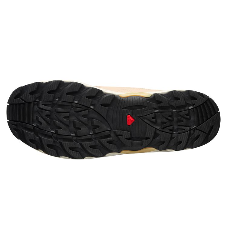 SALOMON Raid Wind Trendy Mesh Breathable Low Top Outdoor Functional Shoes Unisex Shoes Morgan-Stone 415907