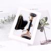 Meridian Gua Sha Facial Massage Roller Set