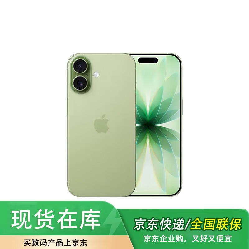 Apple iPhone 17 (with Phone Case Set) (CN version)