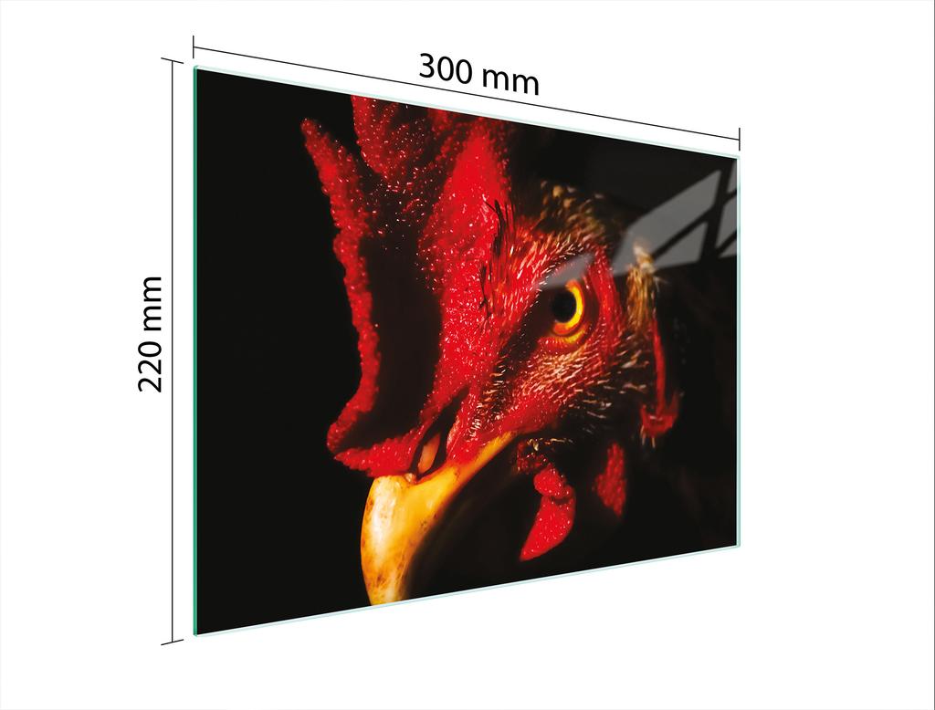 SZKLANA DESKA DO KROEJNIA 30x22 KOGUT