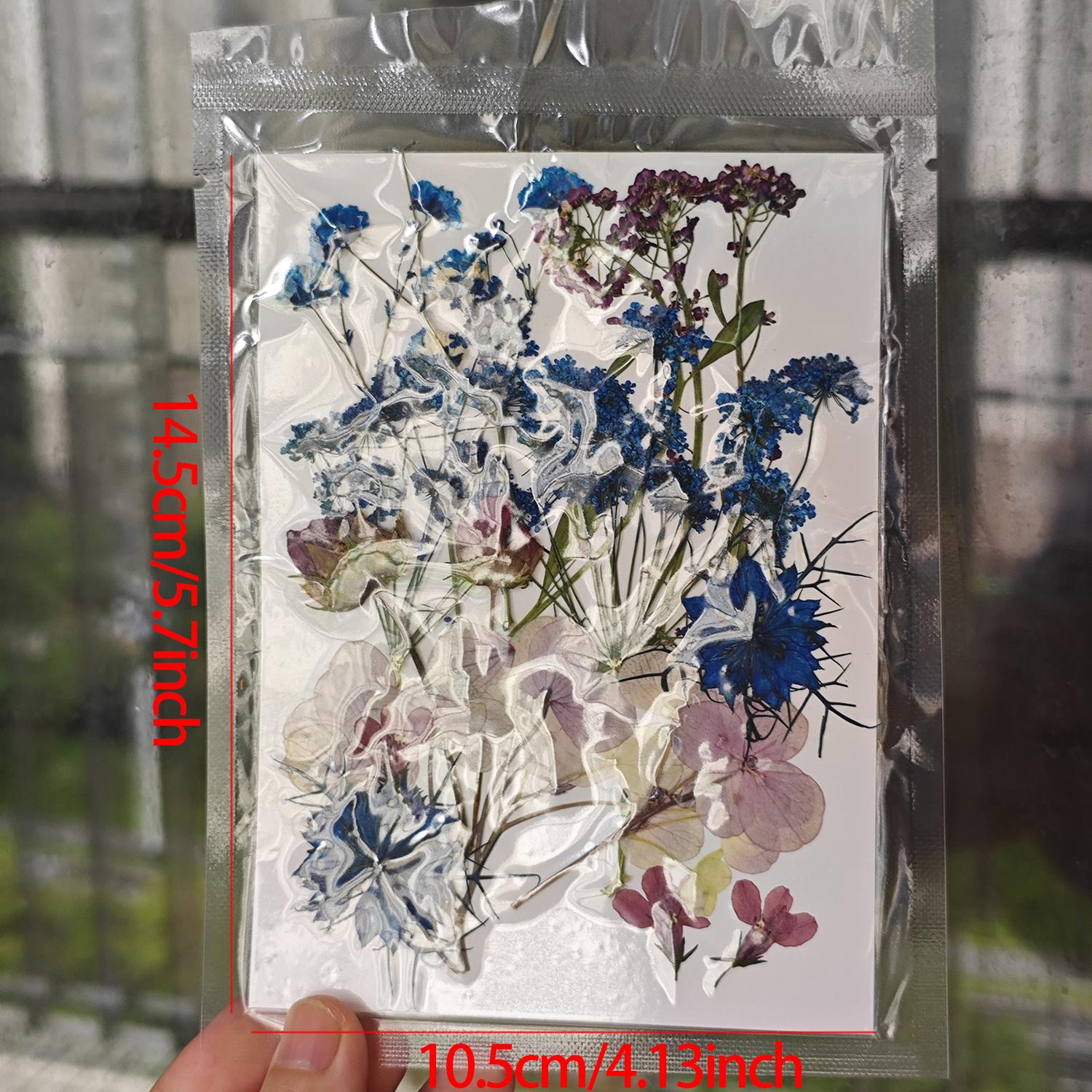 

Dried Flower Embossing Material Package, Face Decoration, Eye Corner Photo, Petal Diy Glue Frame, Plant Specimen фіолетовий