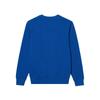 Polo Ralph Lauren Printed Pattern Crewneck Sweatshirt Men Sweatshirt MNPOKNI16821864-401