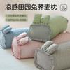 Clever Plan Cotton Buckwheat Pillow with Ice Silk Cartoon Rabbit Design