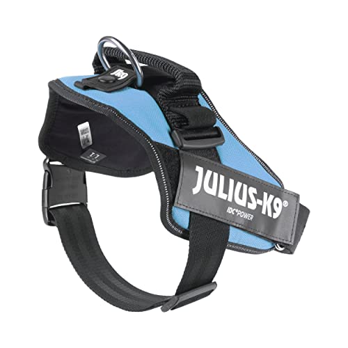 IDC Power Harness, Size: L/1, Aquamarine