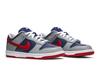 Nike Dunk Low CO.JP Samba (2020)