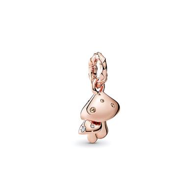 Sieraden – Charmes