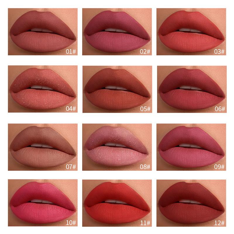 12 PIÈCES Ensemble de 12 gloss à lèvres mat longue durée ne colle pas aux tasses rouge à lèvres rouge à lèvres