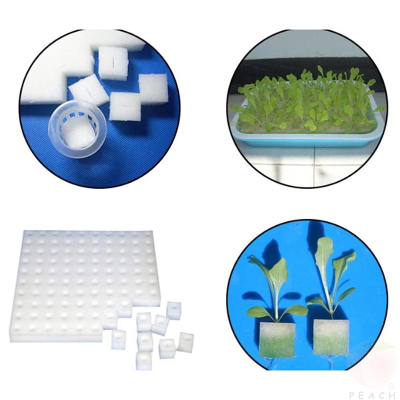 100Pcs/sheet Hydroponic plant Sponge Garden Cultivation Seedling Soilless Culture Planting tools Vegetables Nursery Pots trays