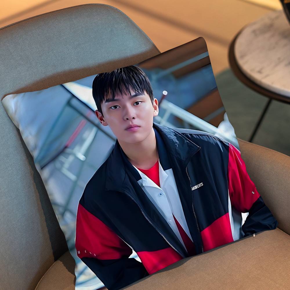 Park Jihoon Weak Hero Class Choi Hyun Wook Pillow Case Sofa Living Room Bedroom Headboard Backrest Cushion Square Cushion Nap