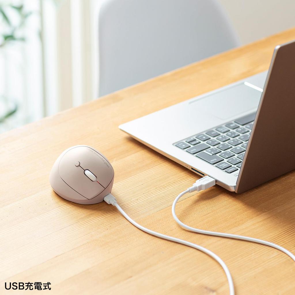 Sanwa Supply MA-EBBS522BG Quiet Bluetooth Compact Ergonomic Mouse (Rechargeable, 5 Buttons, Beige)