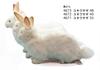 Snow Hare No.4671