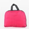 Lishen Foldable Backpack