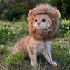 Cute Themed Pets Clothes Cap Wig Lion Mane Costume Pet Cosplay Cat Clothing Headgear Accessories Dog Cat Hats Fun Dress up